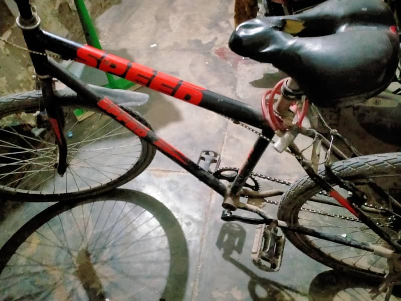 speed cycle 1