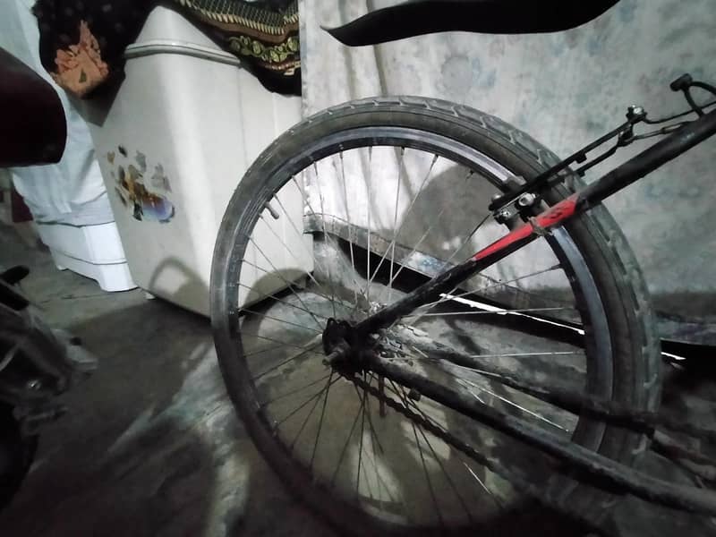speed cycle 2