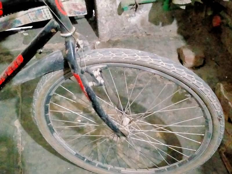 speed cycle 4