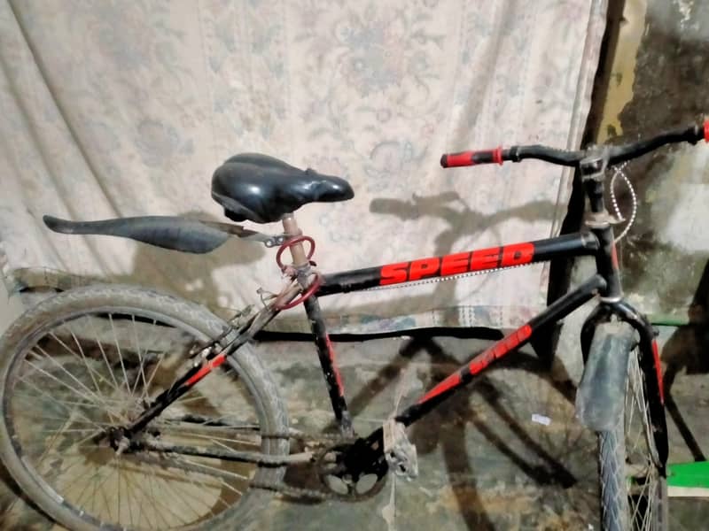 speed cycle 5