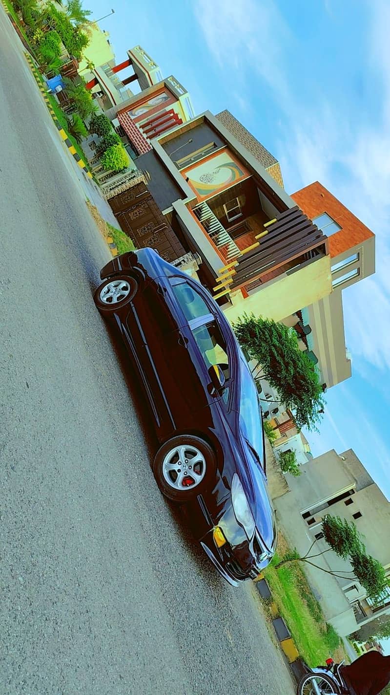 Reborn 7