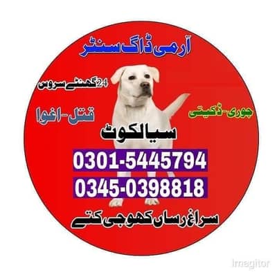 khoji dog