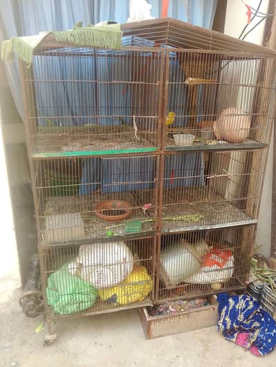 pinjra 5.25 ft ha 6 khany bany huwa ha