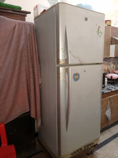 fridge/refrigerator/pelfridge/pel/freezer/jumbosizefridge
