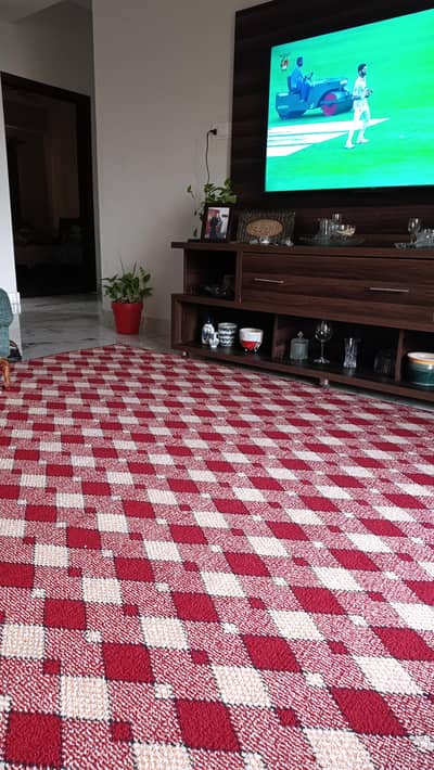 Brand New Carpet