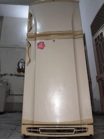 PEL Fridge in Good Condition