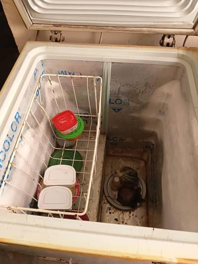 urgent sale