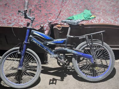 Heavy Duty Classic Roadster Bicycle - Reliable & Strong