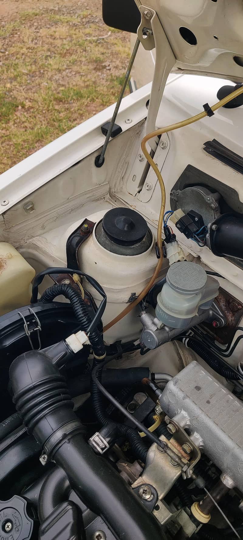 Mehran 2019 5