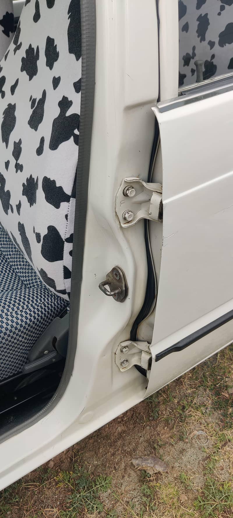 Mehran 2019 11