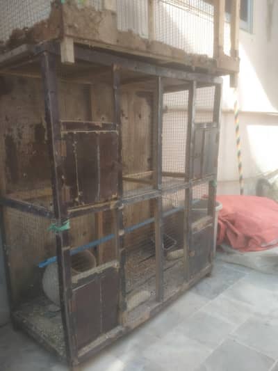 cage pinjra