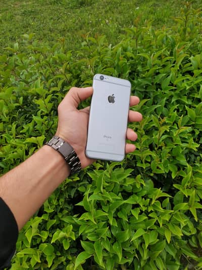 iPhone 6s PTA approved