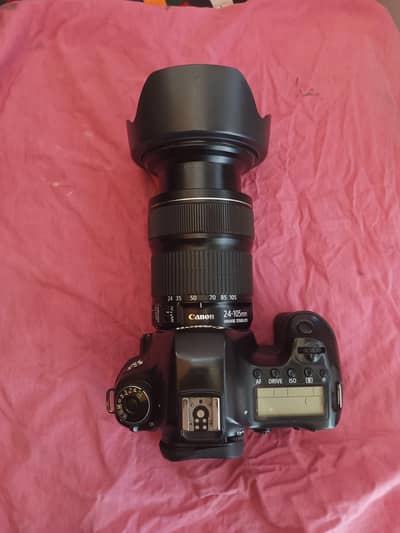 Canon 6D full frame with 24-105 stm lens
