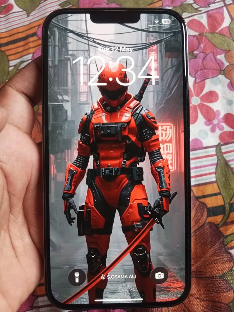 13 Pro Max 9