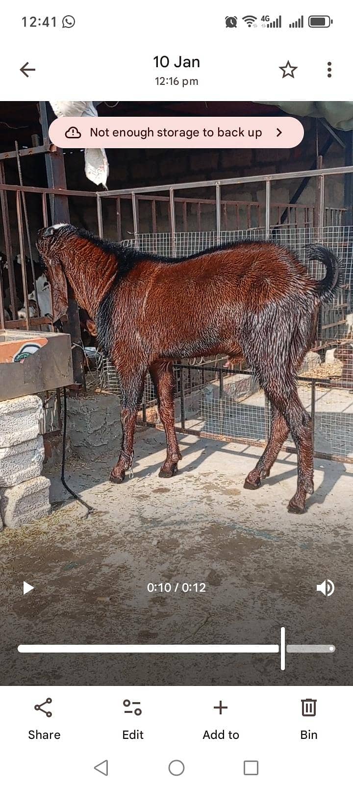 Breeder 1