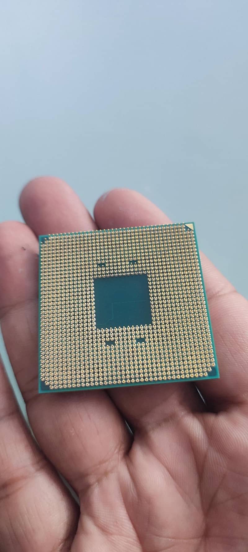 ryzen 5600g processor 1