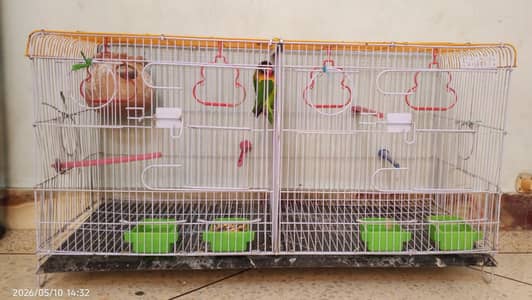 SARIB CAGE