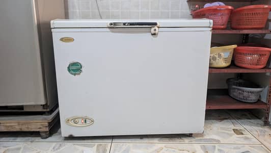 Deep Freezer large capacity