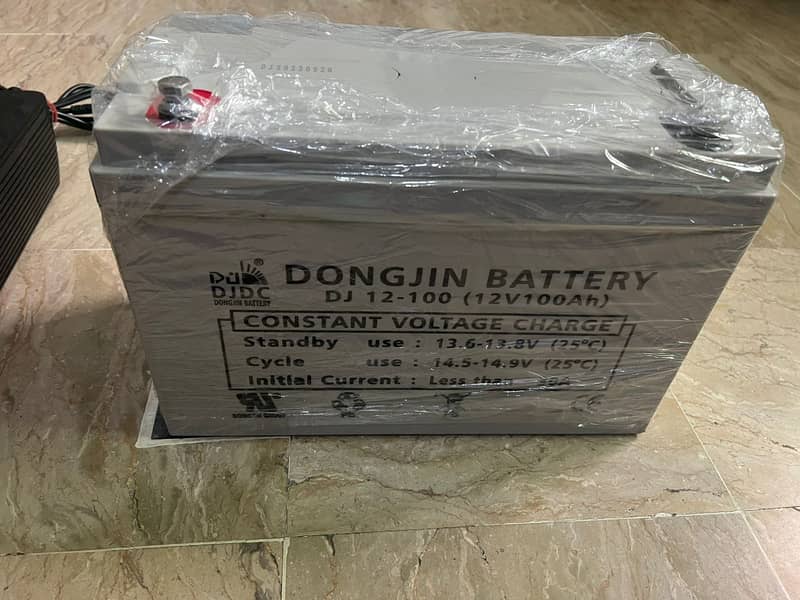 Ups battery 1