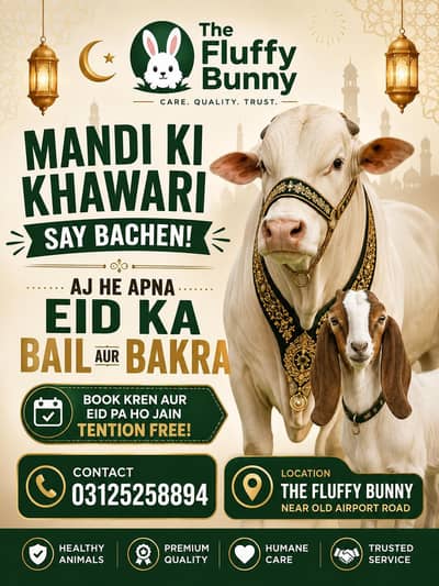 bakrey aur bail Chaklala Rawalpindi khud a kr pasand kren