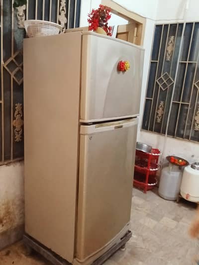 Freeze Fridge