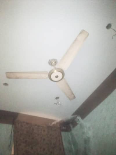 ceiling fans