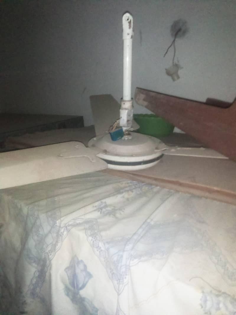 ceiling fans 1