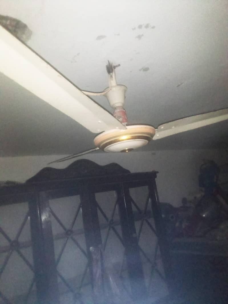 ceiling fans 2
