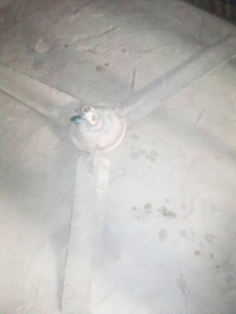 ceiling fans 3