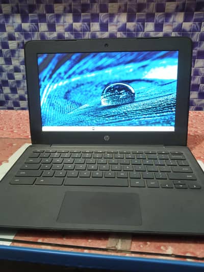 Chromebook hp