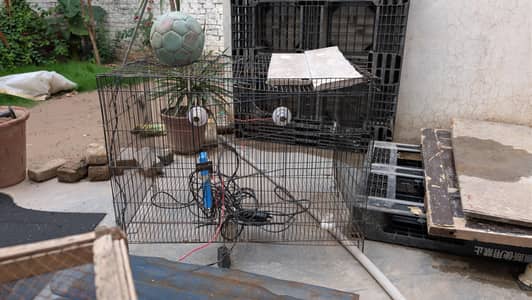 hen cage 3x2x2 feet
