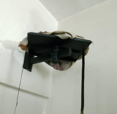 wall mount 800