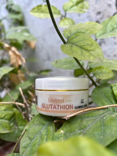 Skincare Night Cream