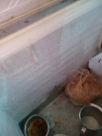deep freezar All okay cooling a one hai