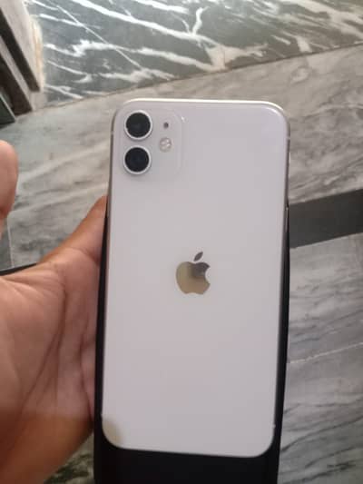 iphone 11 pta