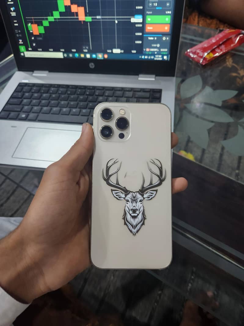 iphone 12 pro max 2