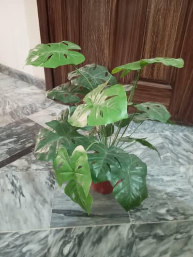 Artificial plants for sale