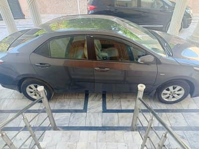 gli 2019 automatic