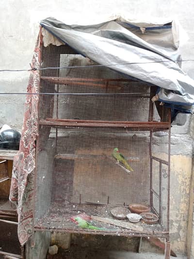 Cage for sell