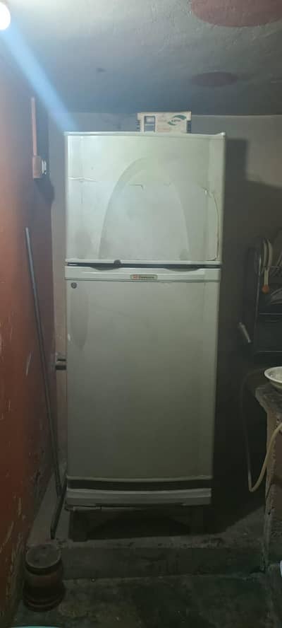 Dawlance Freeze