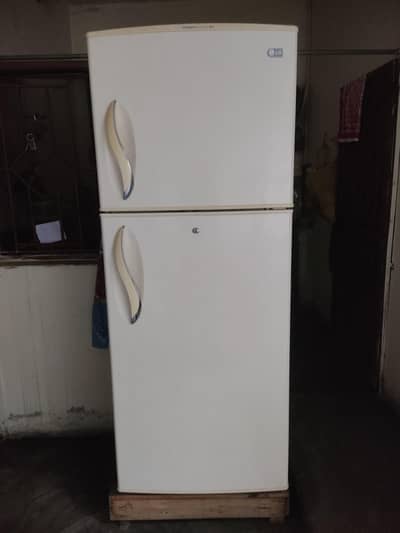 Double door LG cooling fridge
