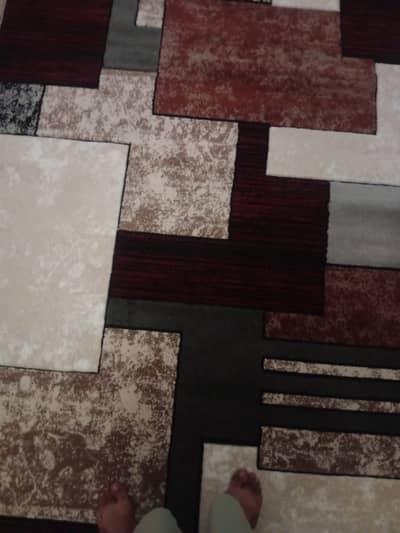 Rug brand new