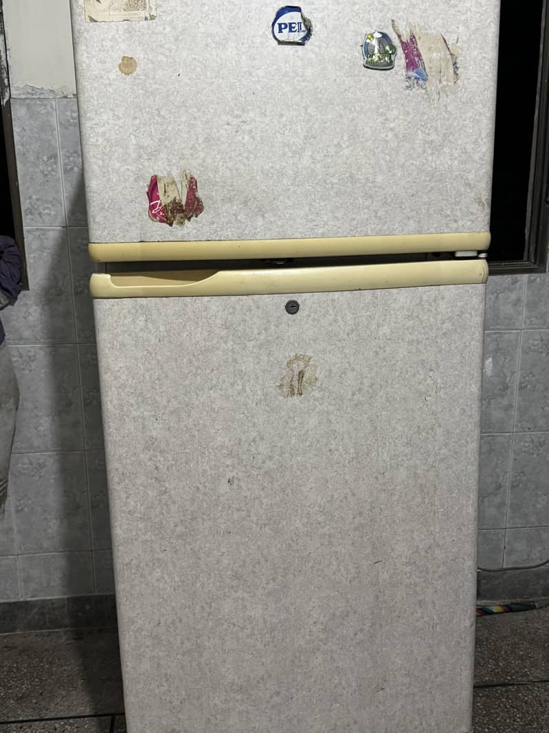 PEL fridge 1