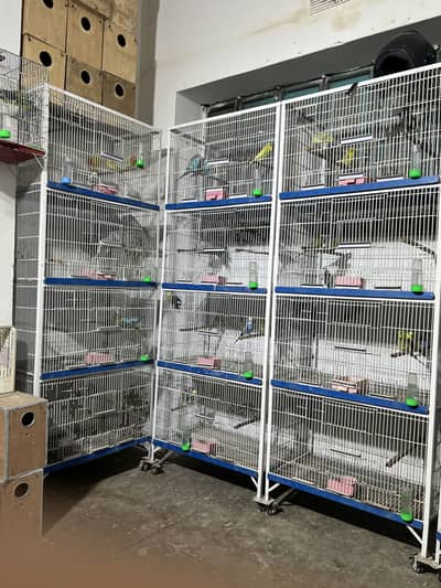 4 portions cage & boxes