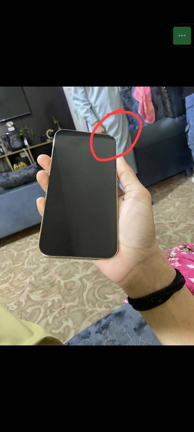 Apple iPhone 12 Pro Max