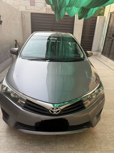 carolla Gli
