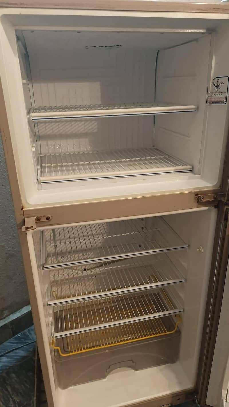 frige 1