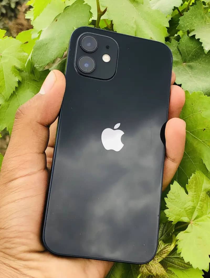 Apple iPhone 12 0