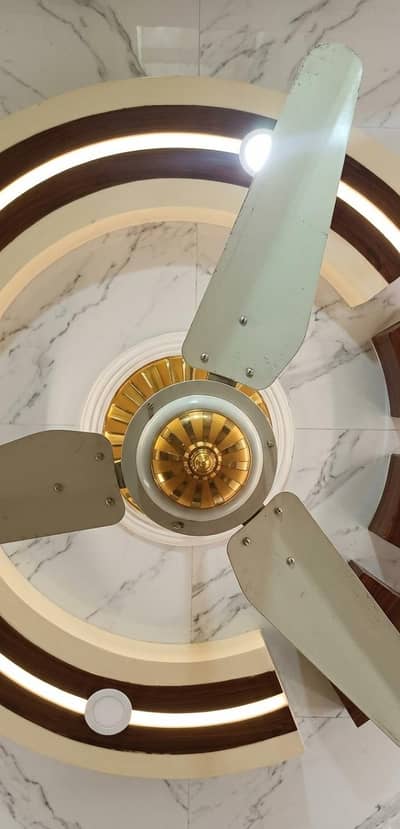 time star fan
