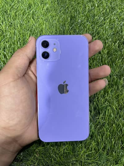 iPhone 12